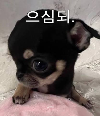 으심되. 시리즈 (feat. 깨쉬, 아롱)