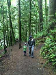 These are small black plastic shells with a clear dome, which float and are reasonably waterproof. Twin Falls Hiking Trail Riverbend Washington