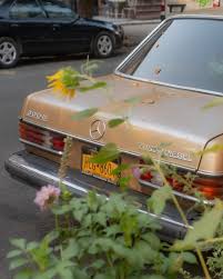 Image result for Manganese Brown 1980 Mercedes