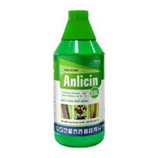 Anlicin 5SL