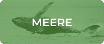 Planned giving, bequests, estate and retirement plans. Greenpeace Siegen Unsere Themen