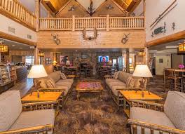 Image result for Elymandra grallata