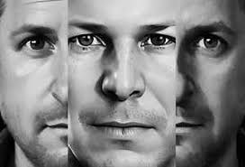 DSTRTD SGNL Discography: Vinyl, CDs, & More