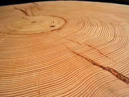 Delivery available to oakville, burlington, milton, mississauga and nearby. Firewood Guide An Infographic