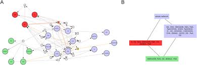 Fue propuesto por los biólogos chilenos humberto maturana y francisco varela en 1973 para definir la química de automantenimiento de las células vivas. Beyond Planetary Scale Feedback Self Regulation Gaia As An Autopoietic System Sciencedirect