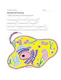 You can use our amazing online tool to color and edit the following animal cell coloring pages. Science Home Work 9 15 2011