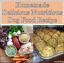 Homemade Delicious Nutritious Dog Food Recipe Healthy Dog Food Recipes Dog Food Recipes Raw Dog Food Recipes