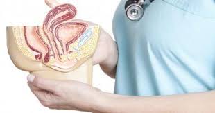 Fibromiyalji Bitkisel Cozum Yollari Ve Kurler Saglik Meskeni Fibromiyalji Saglik Dogal Saglik