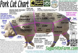 What Good Is A Pig Cuts Of Pork Nose To Tail Sugar