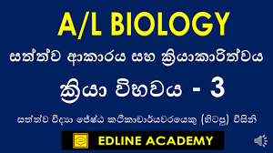 Let us look at animal cell parts and functions, using diagrams and illustrations. Download Animal Form And Function Mp4 Mp3 3gp Naijagreenmovies Fzmovies Netnaija