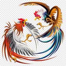Ilustración de gallo de pelea, Ilustración de gallo de gallo de ...
