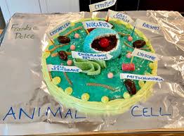 Maybe you would like to learn more about one of these? Animal Cell Cells Project Edible Cell Edible Cell Project
