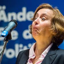 27 ağustos 2012 tarihinde tottenham hotspur'dan real madrid'e 35 milyon euro karşılığında 5 yıllık anlaşma sağlamıştır. Beatrix Von Storch Ihr Langes Gesicht Wird Zum Netz Hit Stern De