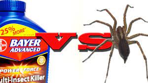 Bayer's advanced complete insect killer treats up to 5,000 sq. Spiders Vs Bayer Advanced Power Force Multi Insect Killer Youtube