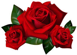 Red Roses Png Clipart Picture Rose Clipart Rose Art Red Rose Flower