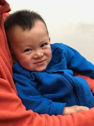 Boston terrier waits for human brother at home