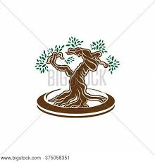 Bonsai tree these little bonsai tree paintings are a simple way to begin learning watercolor. Japanese Bonsai Tree Vector Photo Free Trial Bigstock
