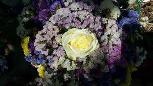 Send one to that special person today, and add a dose of beauty to their day. Flowers Colors White Violet Yellow Flower Bouquet Flowers Spring Rose Color Pxfuel