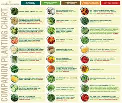 Companion Planting Chart For Vegetables Chart Companion