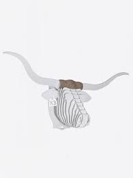 Tex Longhorn Bust Beyaz Karton Hayvan Kafasi Giant Hayvan Renkler Zanaat