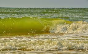 Crayola introduced a crayon with the name seafoam green in 2001. Page 5 Royalty Free Foam Photos Free Download Pxfuel