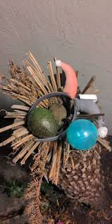 Image result for Avocado Light 1972 Montgomery Ward