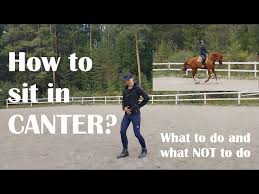 One Exercise To Improve Your Sitting Trot - Horseclass