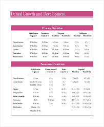 7 Baby Teeth Growth Chart Templates Free Sample Example