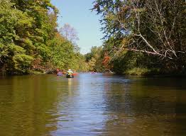 The little manistee river is a popular fishery for the trout fisherman, and lake michigan has countless charter boats that can take you on a deep sea type of fishing expedition. Huron Manistee National Forests Wikipedia