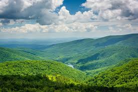 Looking for a cozy retreat away from the chaos of dc and northern virginia? The 16 Best Airbnb Charlottesville Va Vacation Rentals