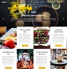Dyad 2 Beautiful Responsive Free And Premium Wordpress Themes For Your Photography Site Portfoli Lemon Cookies Winner Winner Chicken Dinner Chicken Dinner