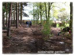 Maybe you would like to learn more about one of these? Sustainable Garden Privet Hedge Gone