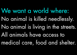 Against Animal Cruelty Photo Stop Animal Cruelty Stop Animal Cruelty Animal Cruelty Medical Care