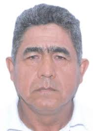 Ingresos de Otorongos Elecciones 2022