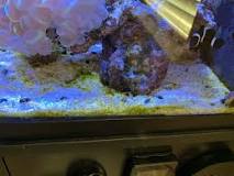 Image result