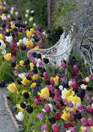 Beauty Tulips Arrangement For Home Garden 27 Jpg 960 1 350 Pixels Desain Taman Taman Desain