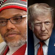 Cindy was a single lady based in The US and she lived alone in her  apartment at Ohio. Cindy's friend who didn't hear from her for few weeks  tried to call her