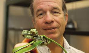 Griffin Warrior's Tomb Yields Finely Carved Seal Stone