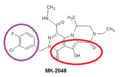 Image result for Integrase Strand Transfer Inhibitor