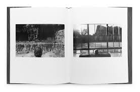 Check out our book subscription selection for the very best in unique or custom, handmade pieces from our books shops. Tbw Books Subscription Series No 5 Lee Friedlander Detail 03 1024x1024 Ivorypress