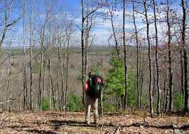 We did not find results for: Manistee River Trail Manistee National Forest