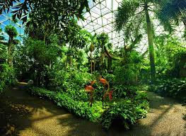 Winter garden is a city located 14 miles west of downtown orlando in the western part of orange county, florida, united states. Top Things To Do At The Missouri Botanical Garden