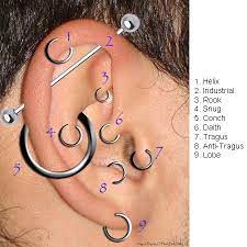 Ear Piercing Quick Reference Piercing Earpiercing Piericings Helix Industrial Rook Snug Conch D Cute Ear Piercings Cool Ear Piercings Piercing