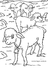 Shaun das schaf meisterschaf t kostenlos online spielen. Malvorlage Schafe Schaf Kostenlose Ausmalbilder