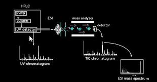 $ so particles with equal charge and different mass move on circular paths with different radius. Mass Spectrometry Tutorial Dr Kamel Harrata Chemical Instrumentation Facility Iowa State University