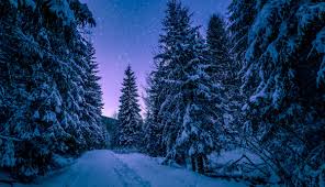 Winter solstice is the shortest day in the northern hemisphere. Winter Solstice Winter Health Dr Starbuck Explains Mtpr