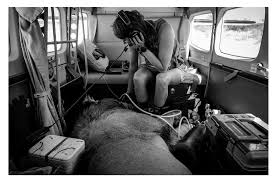 AJ Kruger (@ajnam89) • Instagram photos and videos