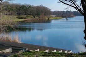 Maasduinen, ein urlaubstag vor der haustür. Maasduinen 50 Tolle Moglichkeiten Zum Wandern Und Radfahren