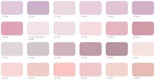 İncir dekor 3.693 views1 year ago. Polisan Renk Katalogu Ve Ic Cephe Boya Renk Ornekleri Icin 26 Fikir Boya Renkleri Bej Duvarlar Renkler