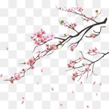A cherry tree branch with pink cherry blossoms and falling petals. Cherry Blossom Png Cherry Blossom Tree Cherry Blossom Flower Cherry Blossom Branch Cherry Blossom Petals Watercolor Cherry Blossom Cherry Blossom Border Japanese Cherry Blossom Cherry Blossom Vector Pink Cherry Blossom Cherry